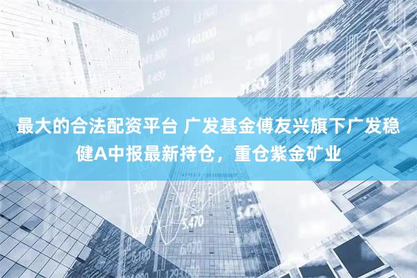 最大的合法配资平台 广发基金傅友兴旗下广发稳健A中报最新持仓，重仓紫金矿业