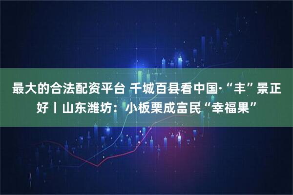最大的合法配资平台 千城百县看中国·“丰”景正好丨山东潍坊：小板栗成富民“幸福果”